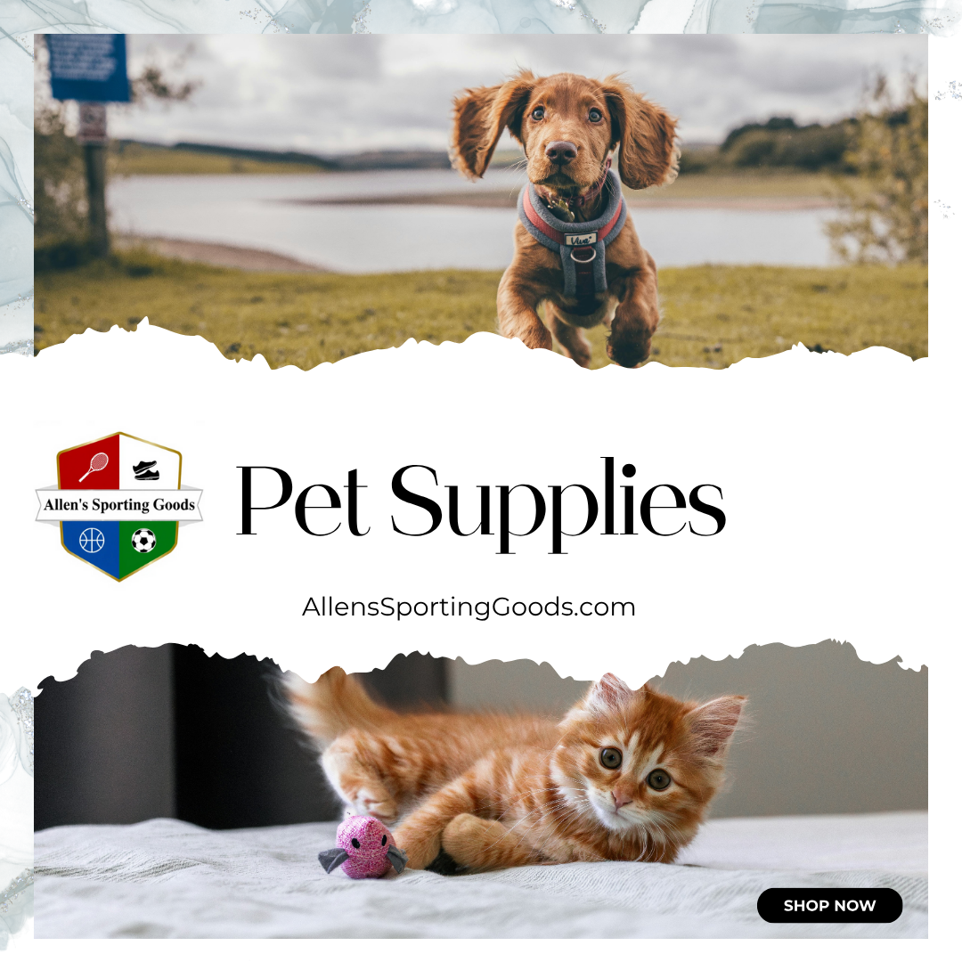 Creating a Happy and Engaging Life for Pets