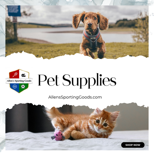Creating a Happy and Engaging Life for Pets