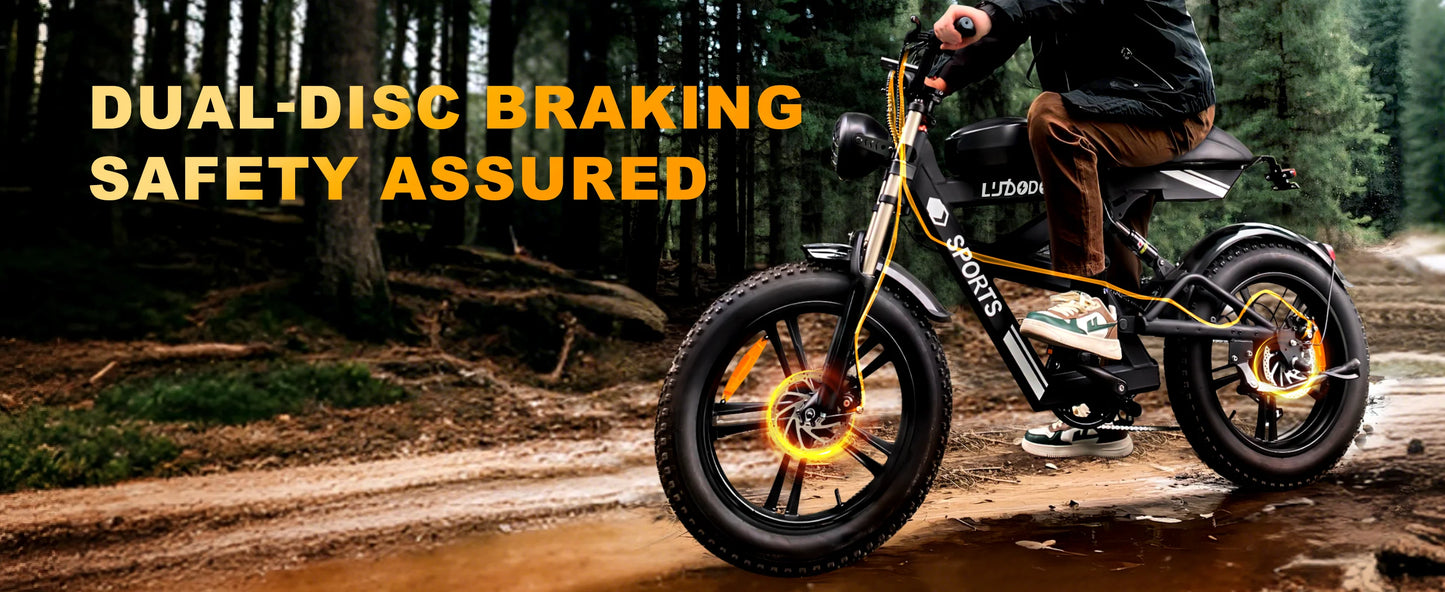 Electric Bicycle 1000W Peak Motor 35MPH Snow Electric Dirt Bike 75Miles Full Suspension 20''*4.0 Fat Tire Mountain E-bike