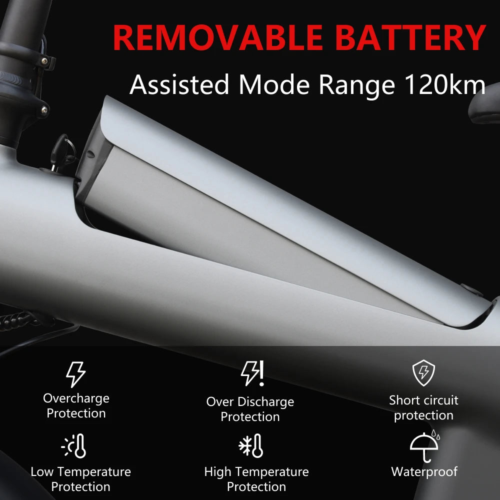 HX Q3 2000W Adult Electric Bike 48V 20Ah E Bike Removable Battery 115Nm Ebike 20*4.0 Inch Fat Tire All-Terrain Electric Bicycle