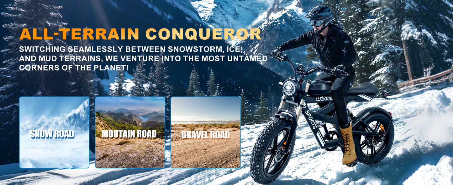 Electric Bicycle 1000W Peak Motor 35MPH Snow Electric Dirt Bike 75Miles Full Suspension 20''*4.0 Fat Tire Mountain E-bike
