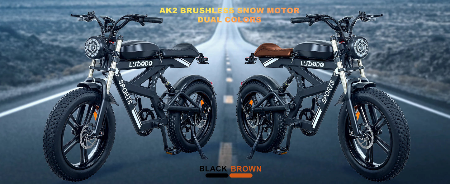 Electric Bicycle 1000W Peak Motor 35MPH Snow Electric Dirt Bike 75Miles Full Suspension 20''*4.0 Fat Tire Mountain E-bike