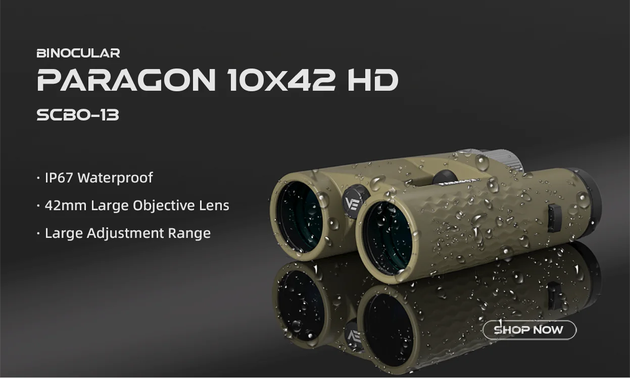 Vector Optics Hugo 6-24x50GT SFP Riflescope | BDC Reticle | 1/4 MOA Turret Lock Adjustment | Varmint Hunting | 1 Inch Tube