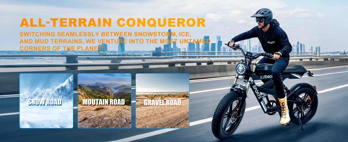 Electric Bicycle 1000W Peak Motor 35MPH Snow Electric Dirt Bike 75Miles Full Suspension 20''*4.0 Fat Tire Mountain E-bike