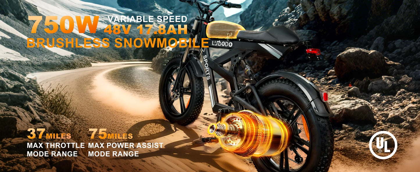 Electric Bicycle 1000W Peak Motor 35MPH Snow Electric Dirt Bike 75Miles Full Suspension 20''*4.0 Fat Tire Mountain E-bike