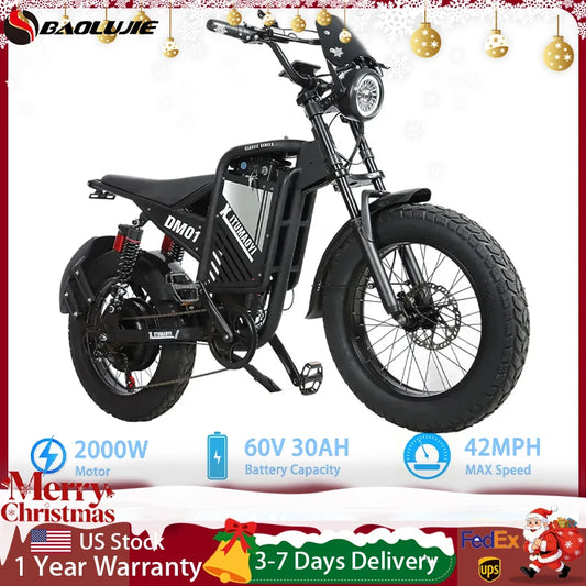 BAOLUJIE DM01 Moto Electric Bicycle 60V 30AH Battery 42 MPH Electric Bike E-Bike Adult for Electric Motorcycle【1 Year Warranty】