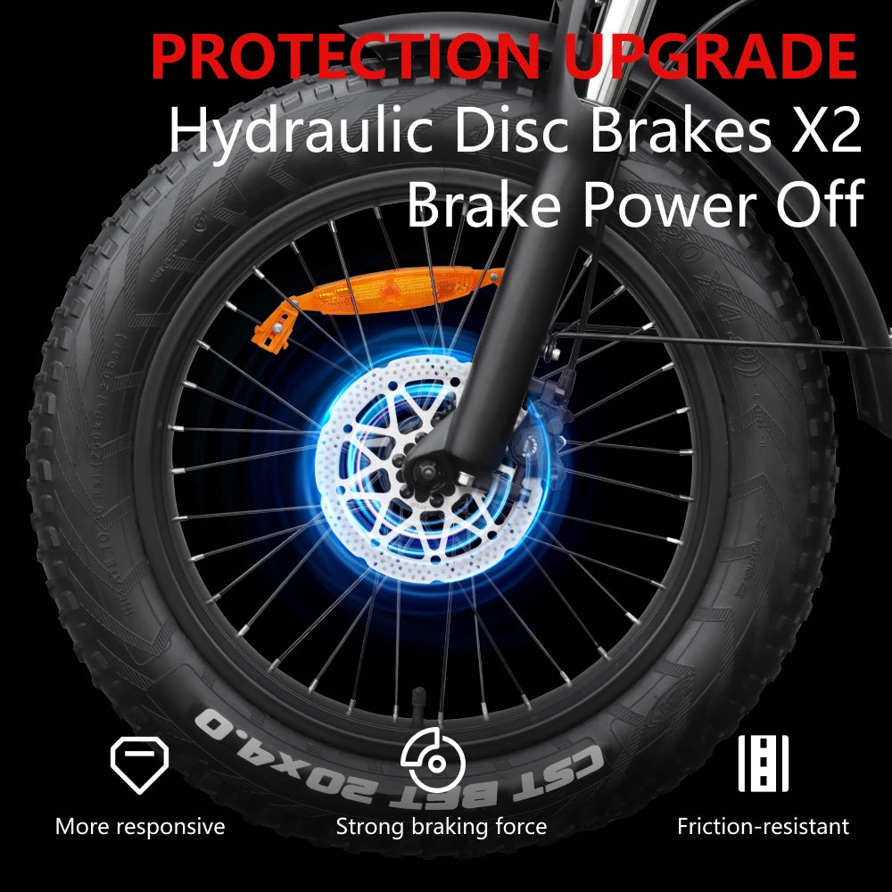 HX Q3 2000W Adult Electric Bike 48V 20Ah E Bike Removable Battery 115Nm Ebike 20*4.0 Inch Fat Tire All-Terrain Electric Bicycle